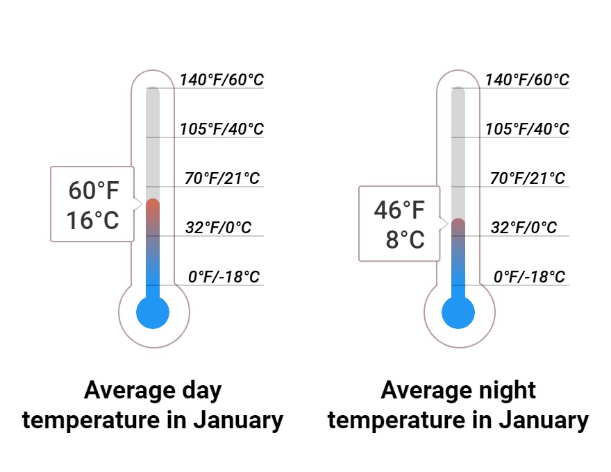 Average temperature